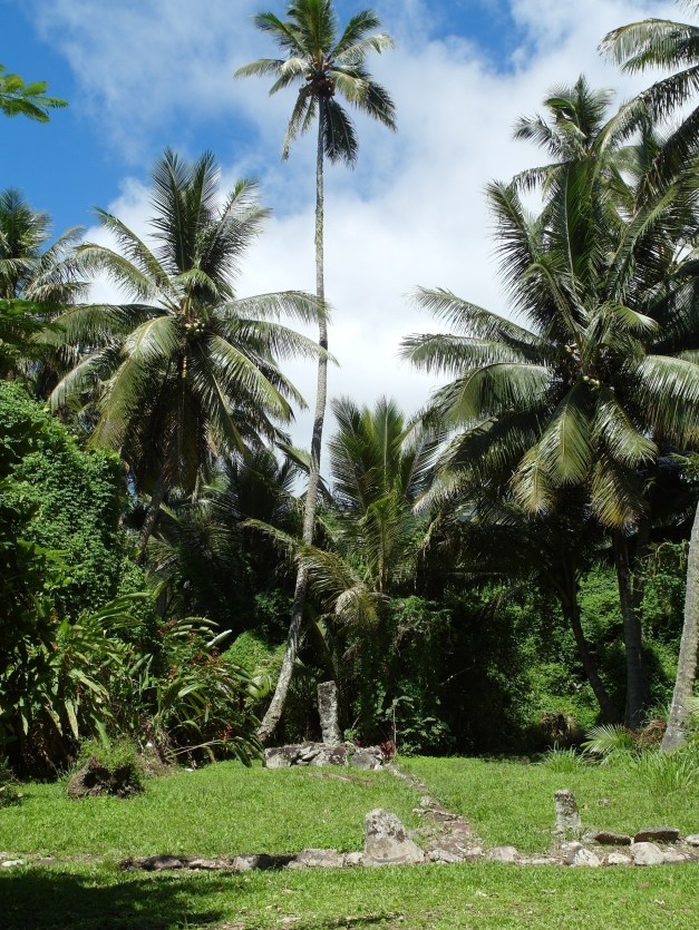 ARAI-TE-TONGA-5