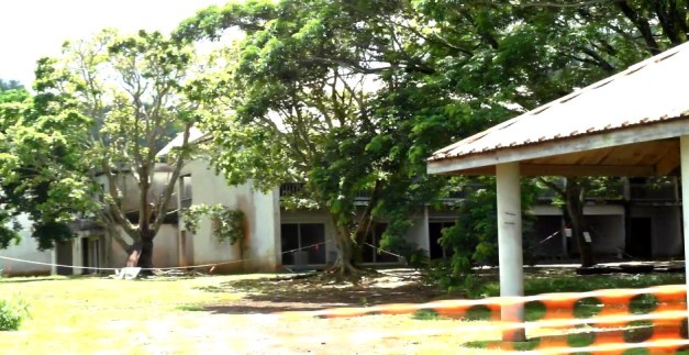 RaroSheroLastResort-3