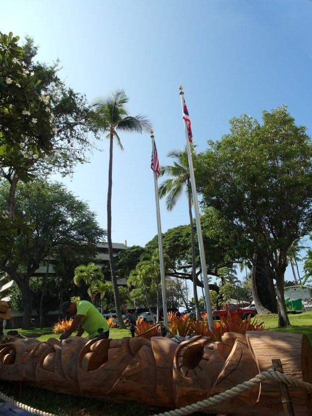 To-WebTikiInstallRoyalKona-5