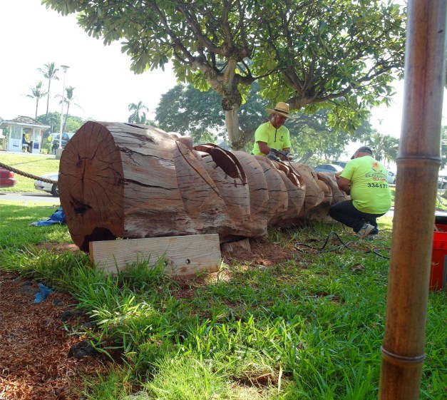 To-WebTikiInstallRoyalKona-6