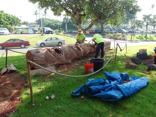 To-WebTikiInstallRoyalKona-7