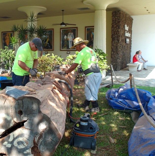 ToWebTikiInstallRoyalKona-10