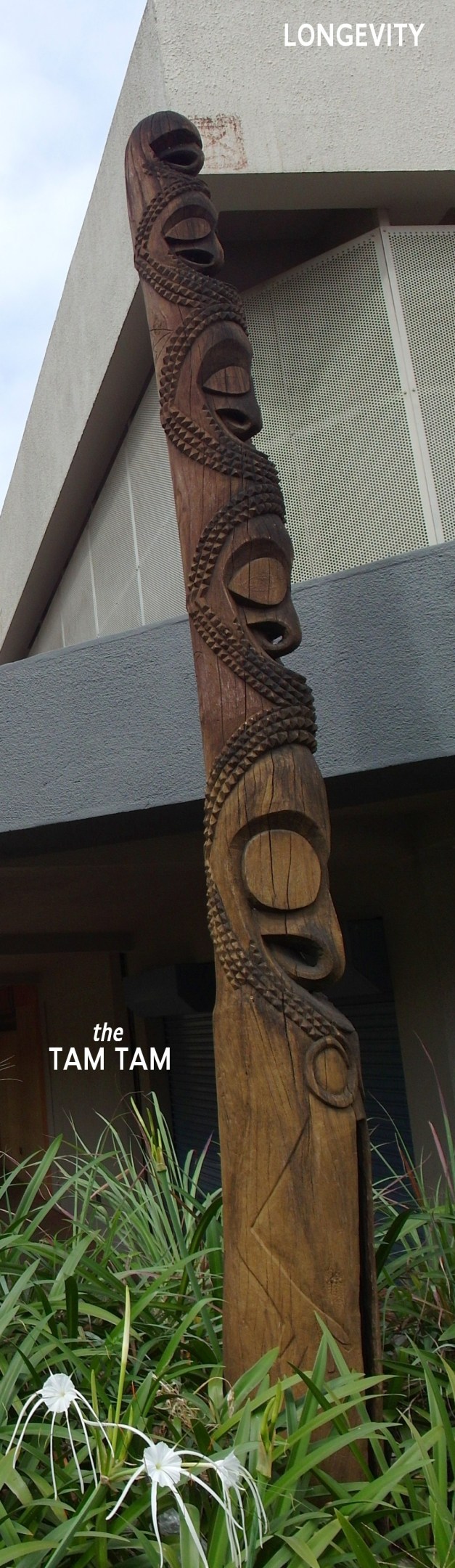 LongevityTheTamtam