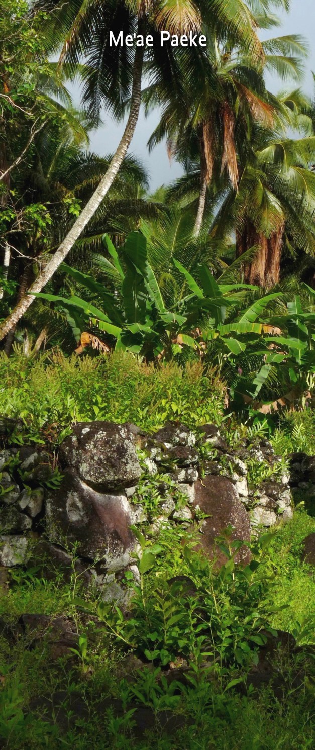 Me'aePaeke-1