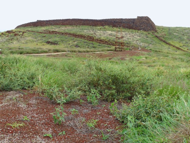 Pu'ukoholaHeiau-1