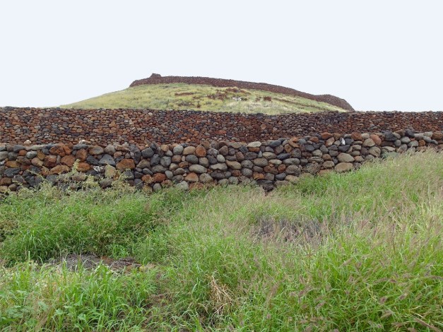 Pu'ukoholaHeiau-2