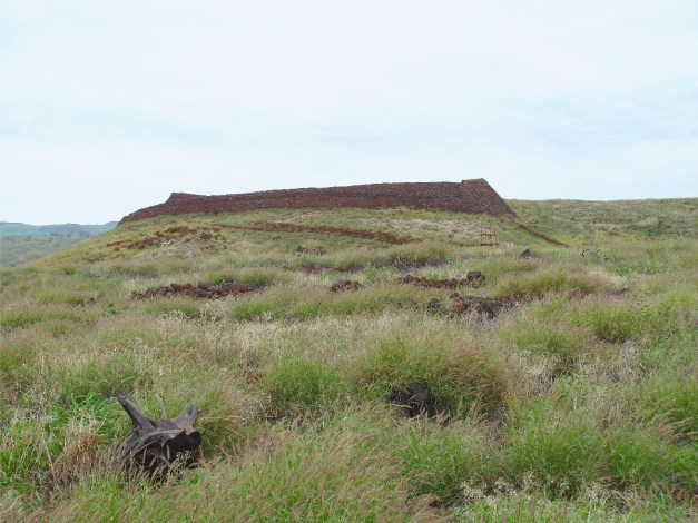 Pu'ukoholaHeiau-6