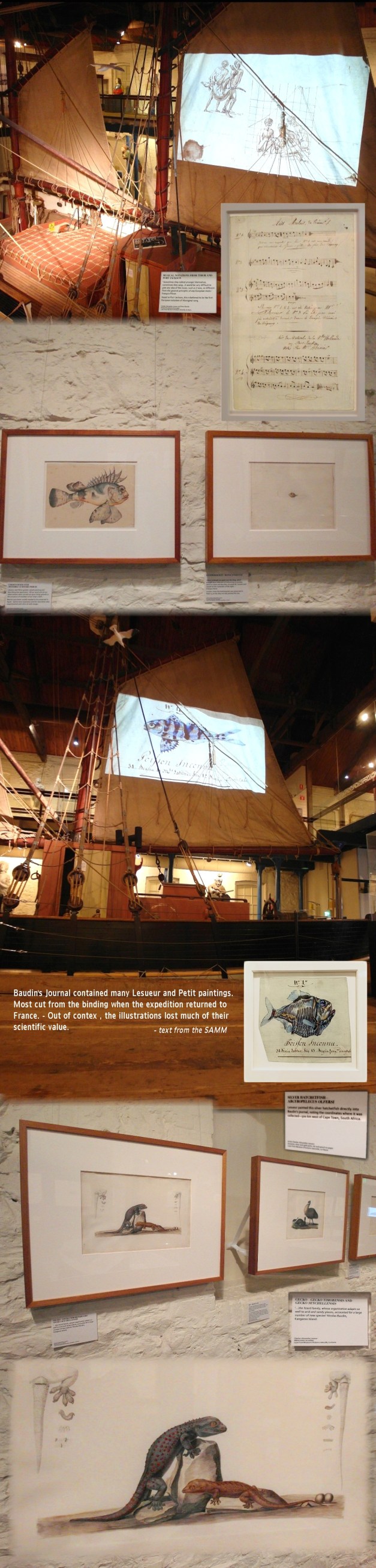 adventuresofbaudin-101