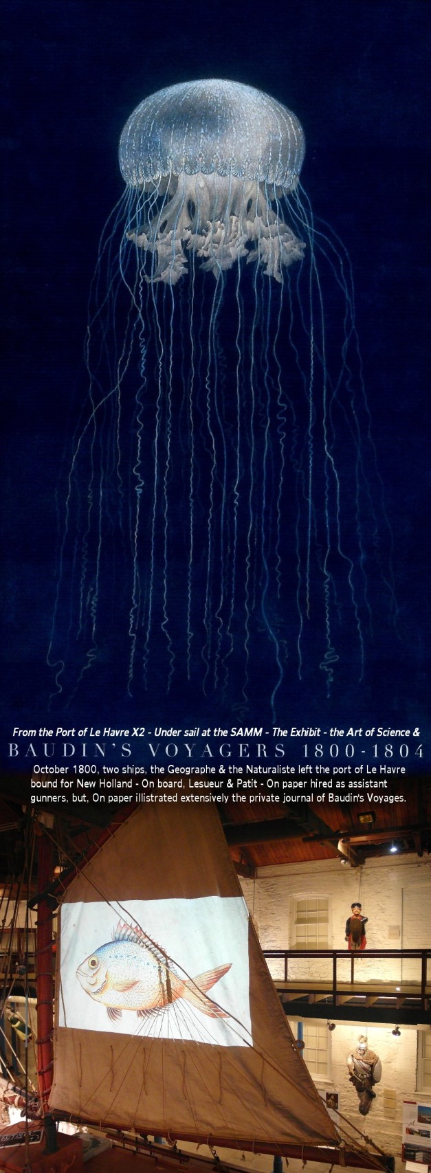 adventuresofbaudin-102