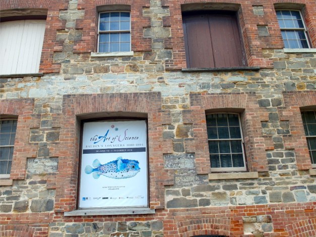 adventuresofbaudin-106