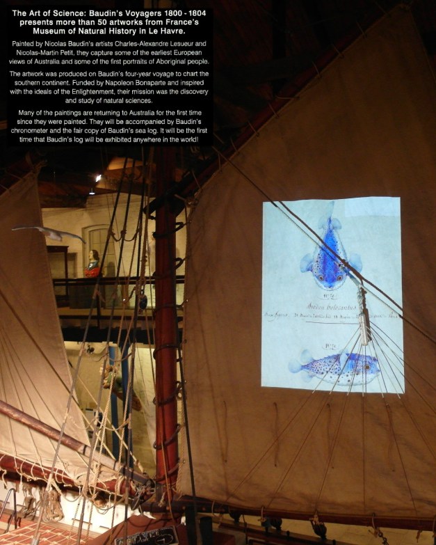 adventuresofbaudin-20a