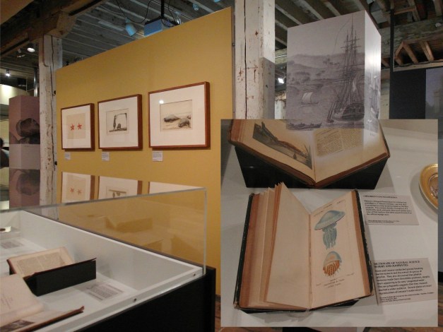 adventuresofbaudin-28a