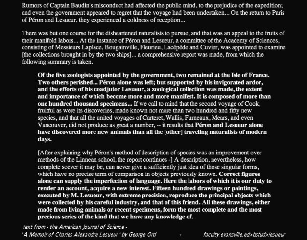 adventuresofbaudin-30b