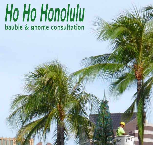 melekalikimakacitytree-2a