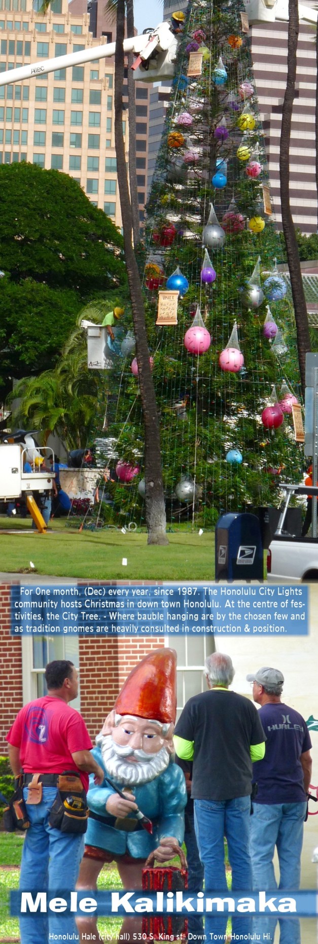 melekalikimakacitytree-6