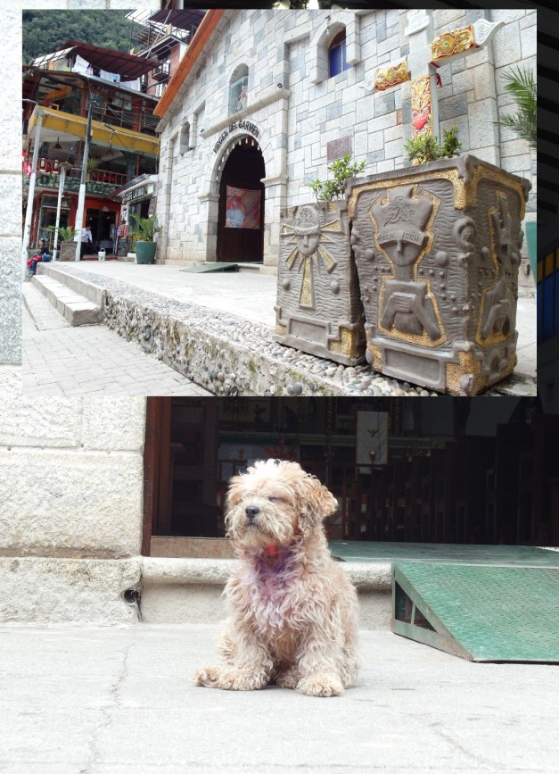 PlanterPots&amp;HotSprings-6a