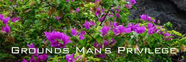 RoadSideTikiRoyalKona-11a