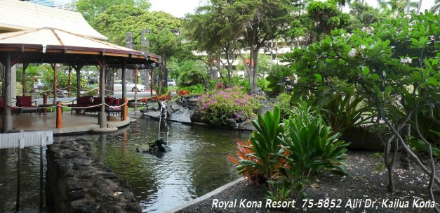 RoadSideTikiRoyalKona-3a
