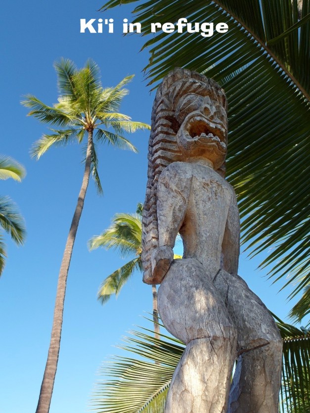 ki'icitofrefuge-2abc