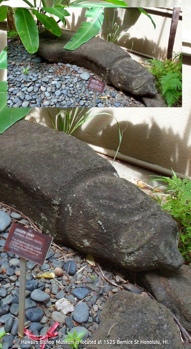 CourtyardBishopHawaii-7abc