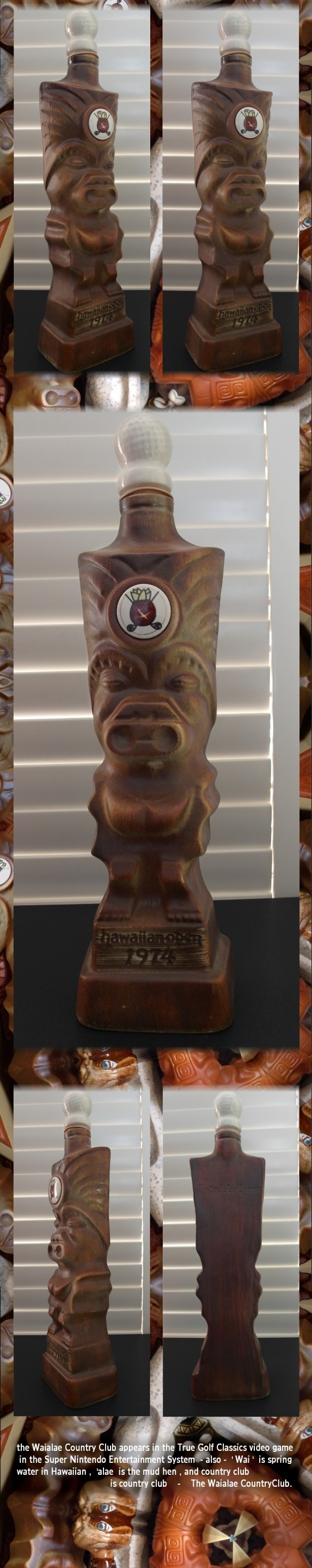 JimB:UnitA:HawOpen-45abc