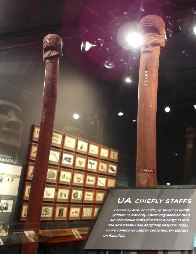 UntoldStoriesBishopMuseum-7