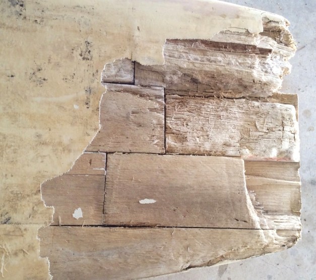 BalsaAndOtherSadSongs-4a