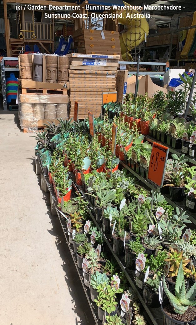 NOTaTOYtoAVOID:Bunnings-8