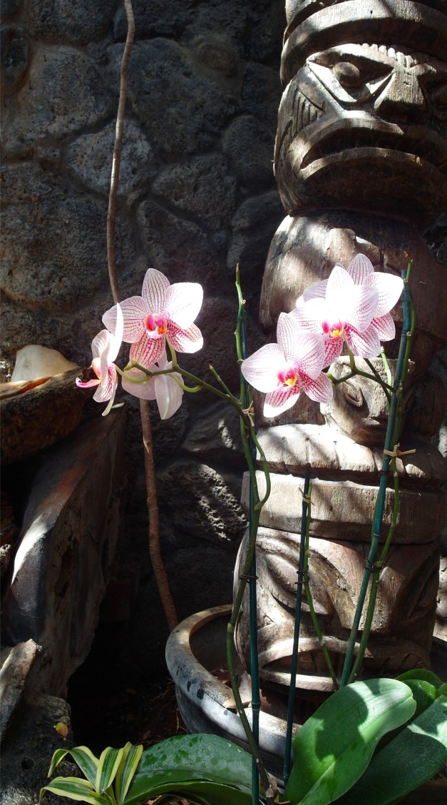 OrchidsOf-4