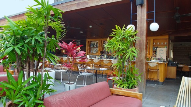 HideOutCockTaoils-24a