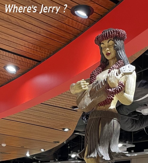 WheresJerryBrisAirPort-2a