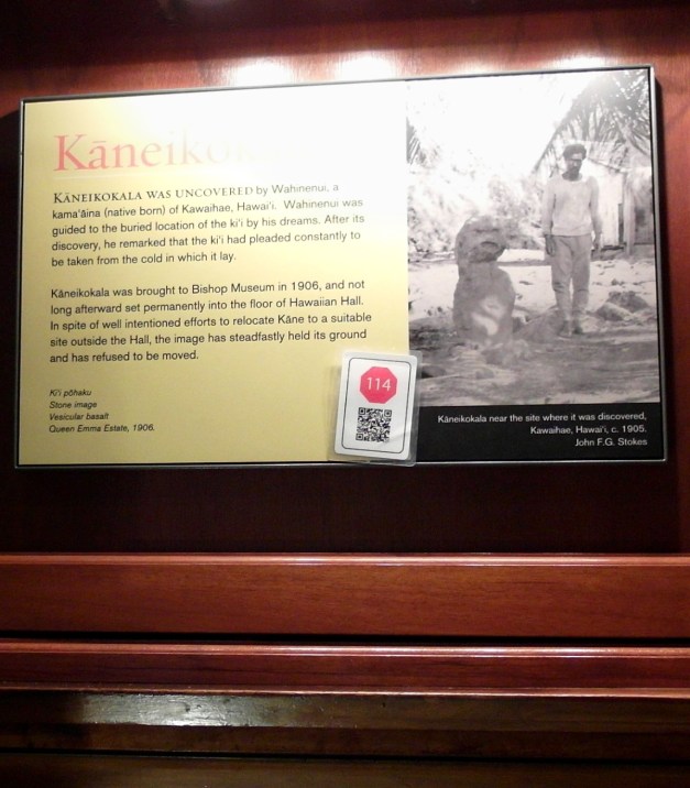 KaneikokalaTheUnmoveable-27