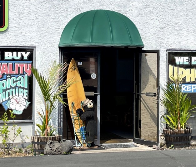 TheresABearoutThere-2