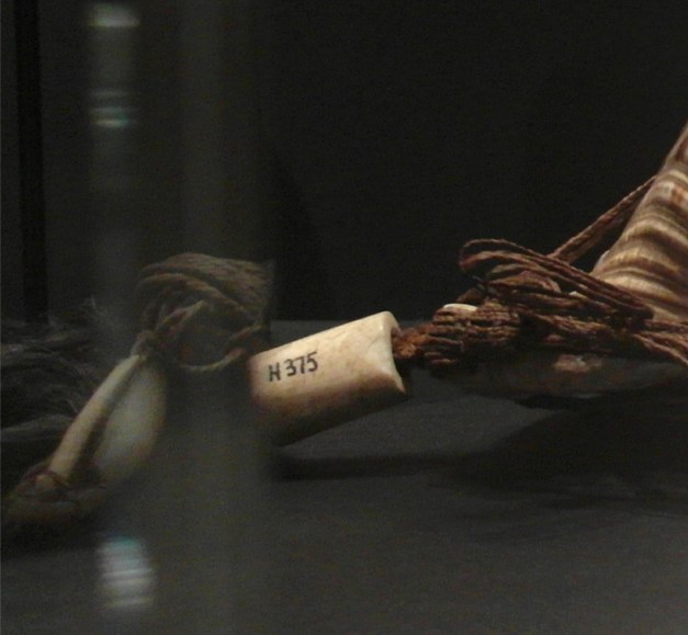 UnconchiosH375-SM-2a