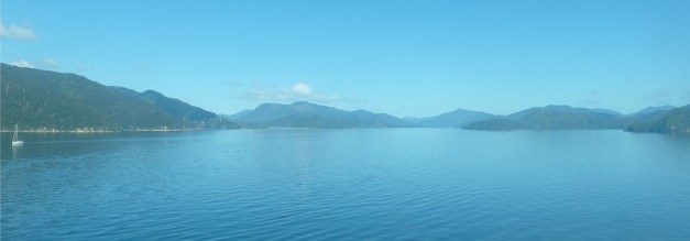 PictonFerryTPitaRuaTohora-20