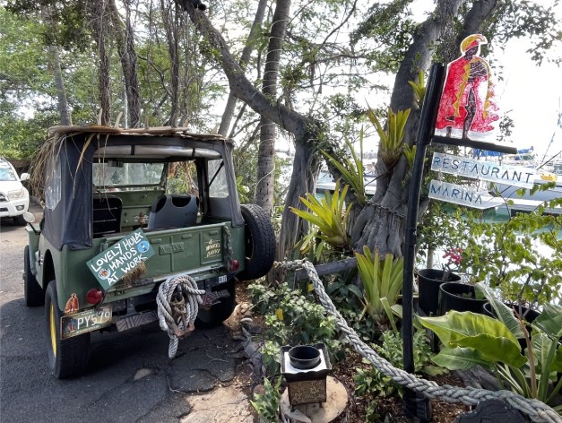 LamarianaMugsToJeep-18