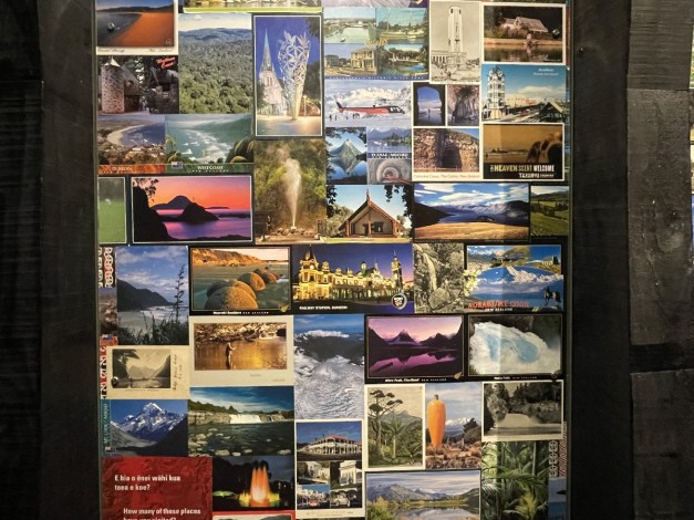 MOTWTePapaTongarewa-g2