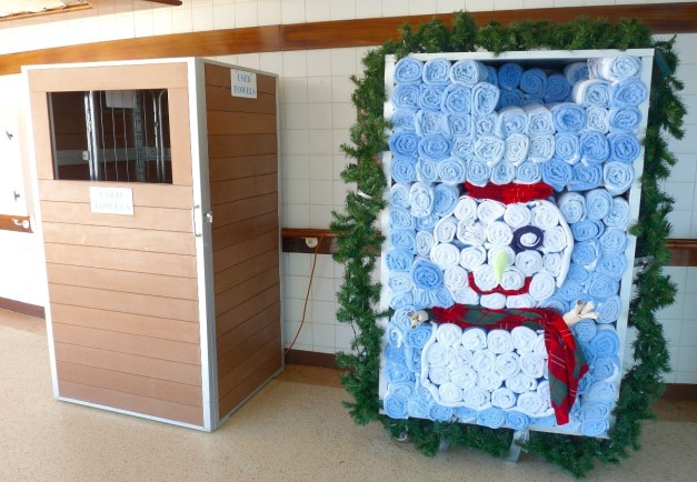 CoralPrincessJerry-1g