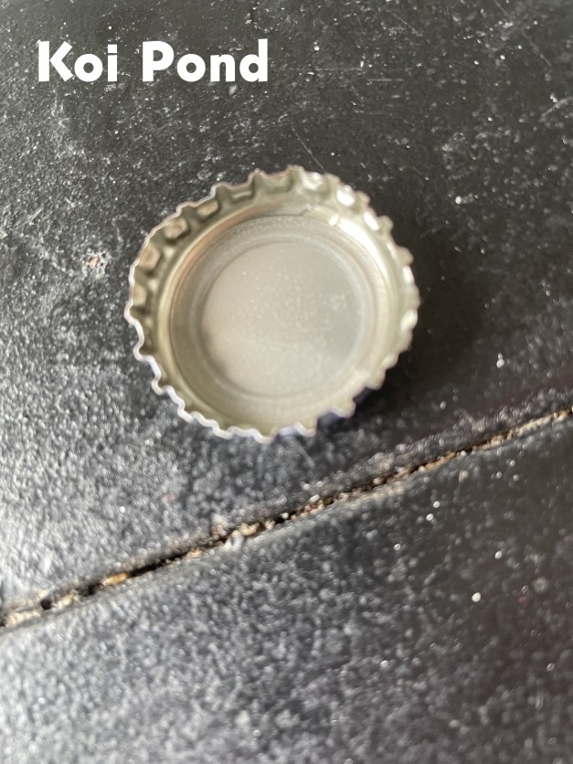 PubOrigamiCharlies-17