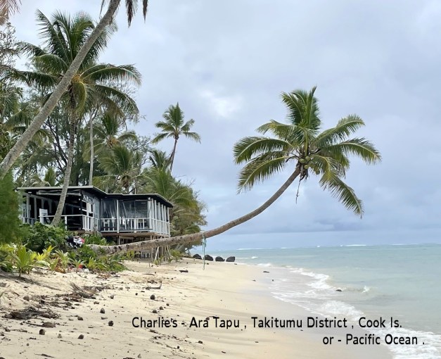 PubOrigamiCharlies-5a