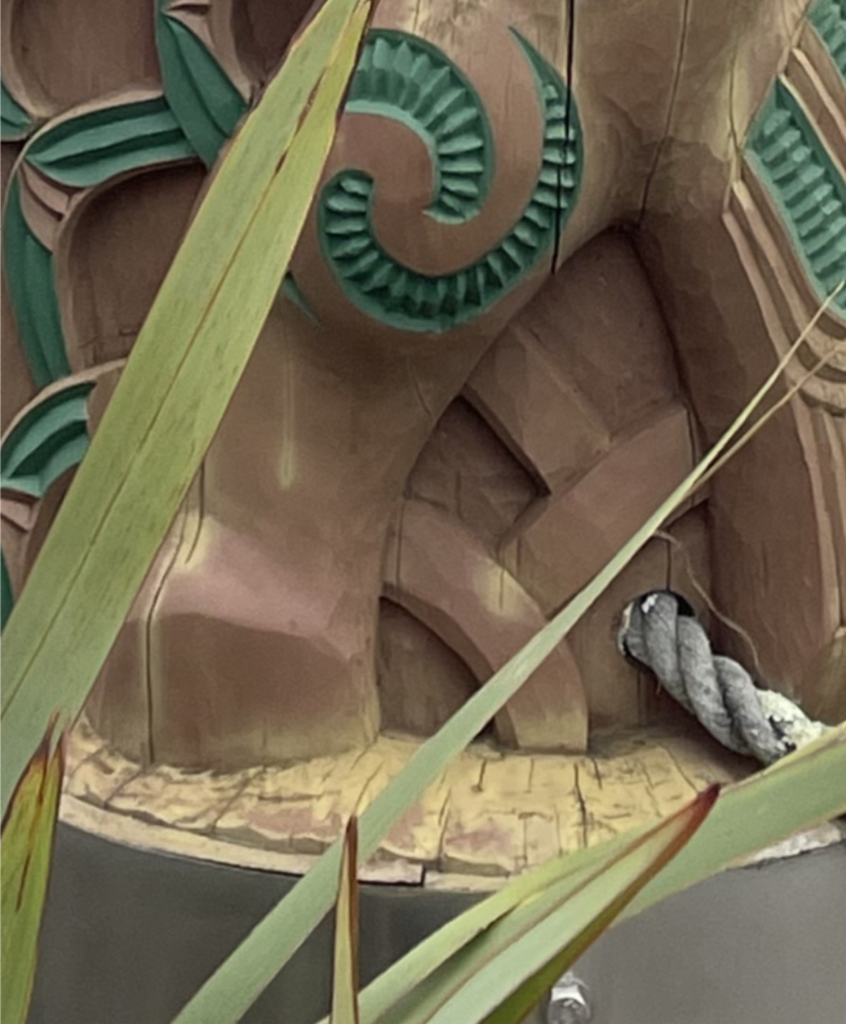 TsunamiNavigator-50ab